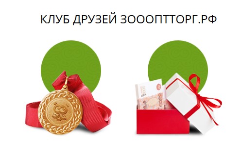 Все о бонусной программе 