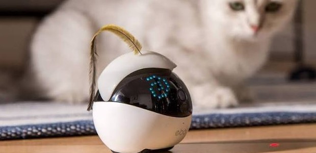 Умные гаджеты для животных