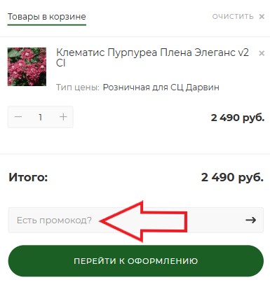 Как использовать промокод в Дарвин