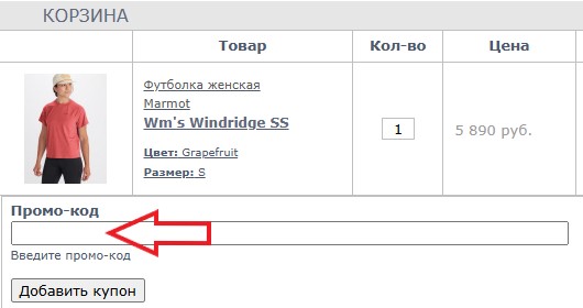 Как использовать промокод в День сурка