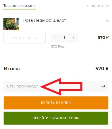 Как использовать промокод в Долина роз