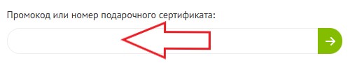Как использовать промокод в Две Морковки