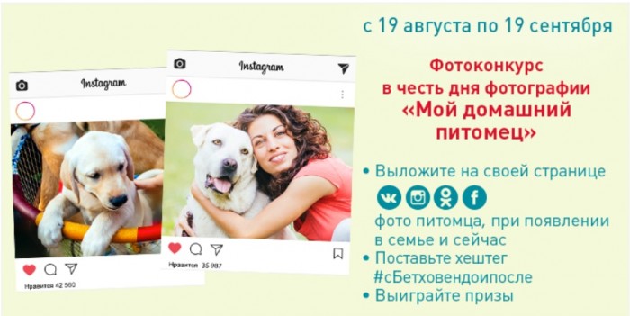 Бетховен Интернет Магазин Доставка На Дом
