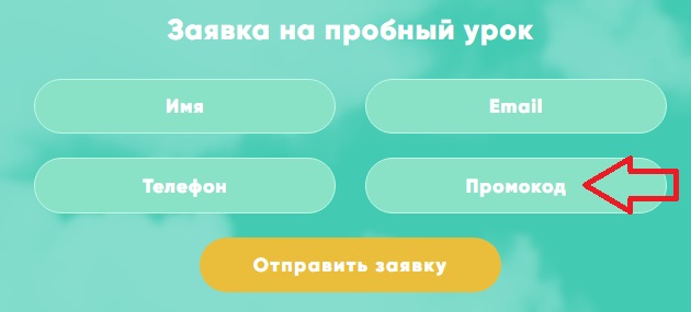 Как использовать промокод в Lingua Airlines