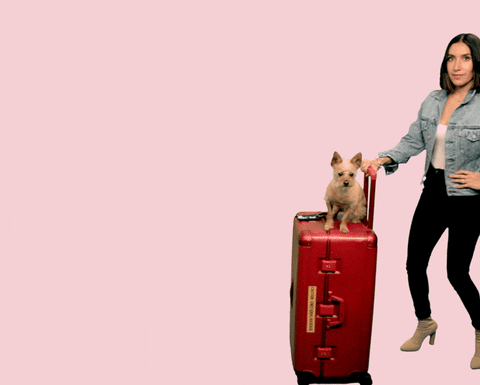 туту бонусы как проверить. luggage. туту бонусы как проверить фото. туту бонусы как проверить-luggage. картинка туту бонусы как проверить. картинка luggage. С чего начинается каждое, даже самое маленькое, путешествие? Очевидно с покупки заветных тикетов в пункт вашего назначения. Сейчас уже мало кто покупает билеты на вокзалах, в турагентствах, авиакассах и прочих устаревших заведениях. Век технологий предоставляет нам возможность с комфортом приобретать билеты на любой вид транспорта по дороге на работу, в кафе или на диване через онлайн-сервисы и приложения.