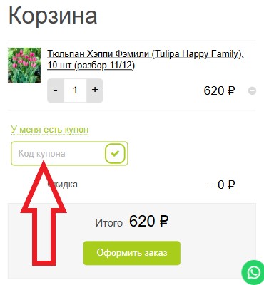 Как использовать промокод в Первые семена