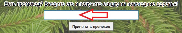 Как использовать промокод в Sadovod.org