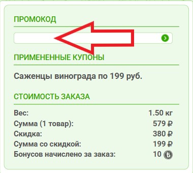 Как использовать промокод в Русский Огород