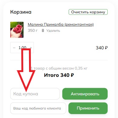 Как использовать промокод в Садовый мир