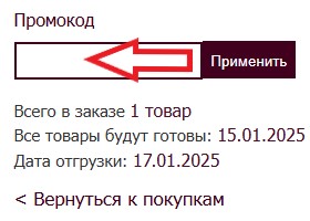 Как использовать промокод в Wisell
