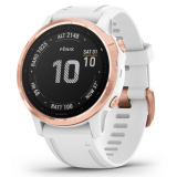 Умные часы Garmin Fenix 6S 010-02159-11
