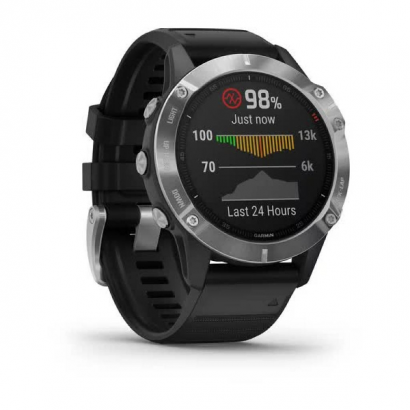 Спортивные часы Garmin fenix 6 Silver