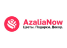 Логотип магазина AzaliaNow