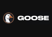 Csgoose