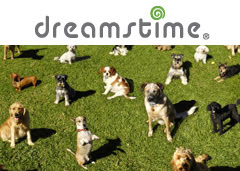 dreamstime.com