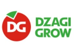 dzagigrow.ru