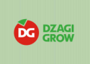 dzagigrow.ru