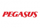 Логотип магазина Pegasus