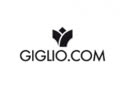 Community.giglio.com Community.giglio.com