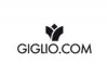 Community.giglio.com
