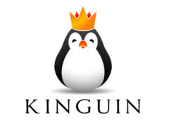 kinguin.net