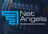 NetAngels