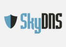 Логотип магазина SkyDNS