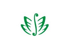 vetom.ru